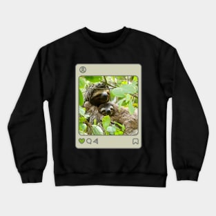 Sloths in a tree Crewneck Sweatshirt